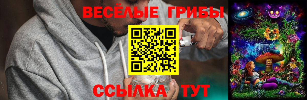 Псилоцибиновые грибы GOLDEN TEACHER Саров
