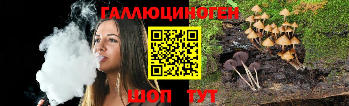 Саров  Псилоцибиновые грибы Psilocybine cubensis  Псилоцибиновые грибы Magic Shrooms  Вход с VPN 