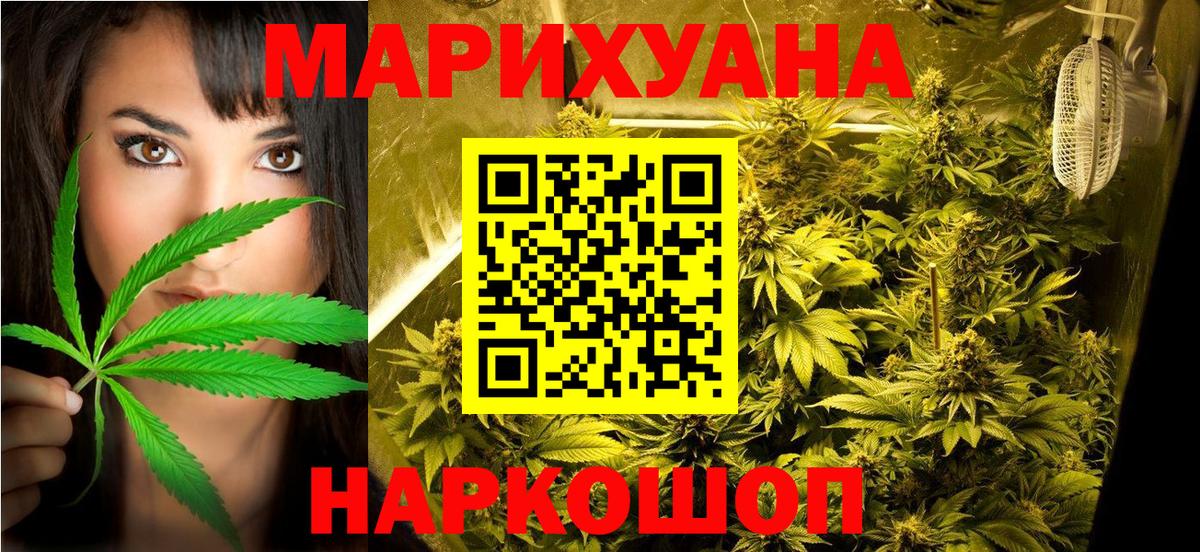 Конопля марихуана Саров